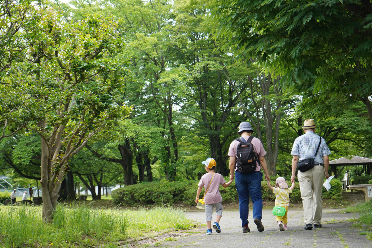 木々が生い茂る緑いっぱいの杉戸西近隣公園で、子ども2人とおじいちゃんとお母さんが手を繋ぎながら歩いている写真。